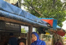 BRI BO Jakarta Sparman Dorong Akuisisi QRIS UB untuk Perkuat Layanan Operasional